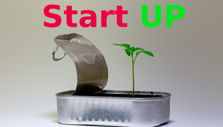 المؤسسات الناشئة star up