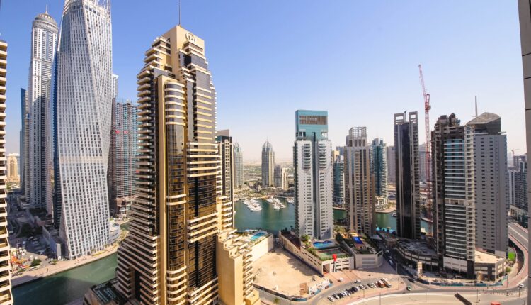 الشركات الناشئة في الامارات