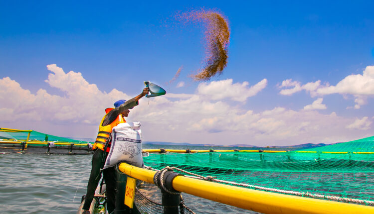 تربية المائيات